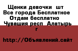 Щенки девочки 4шт - Все города Бесплатное » Отдам бесплатно   . Чувашия респ.,Алатырь г.